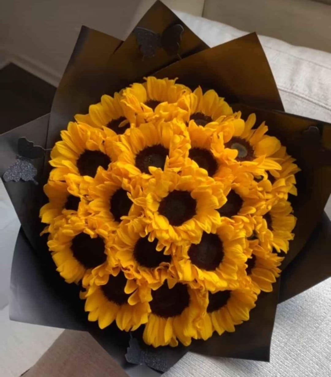 Girasoles Marth